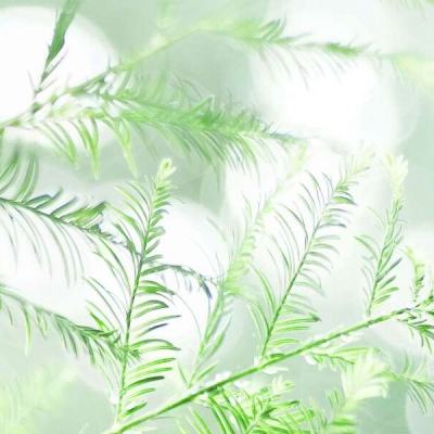 retroarch魔改版下载