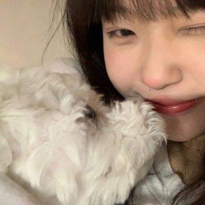 塔防冲突破解版下载